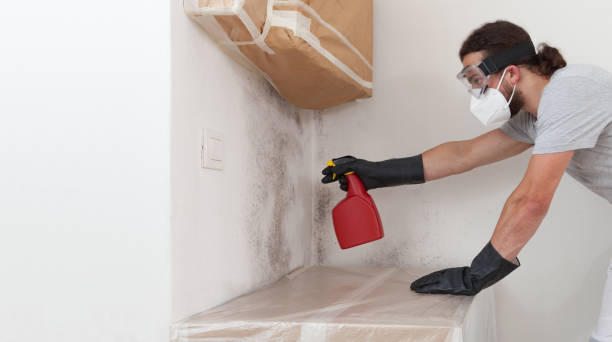 Professional Mold Remediation technician working in Grassflat, PA