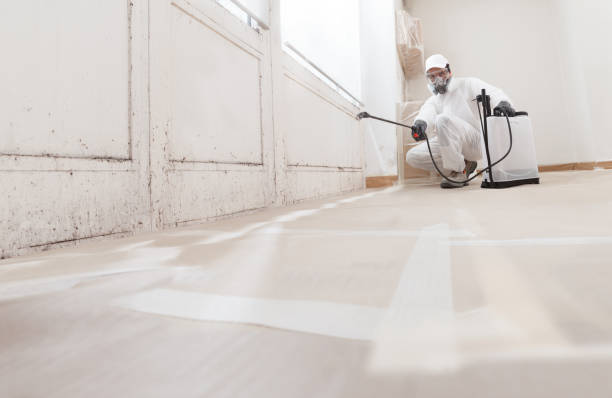 24/7 Emergency Mold Remediation experts in Grassflat, PA
